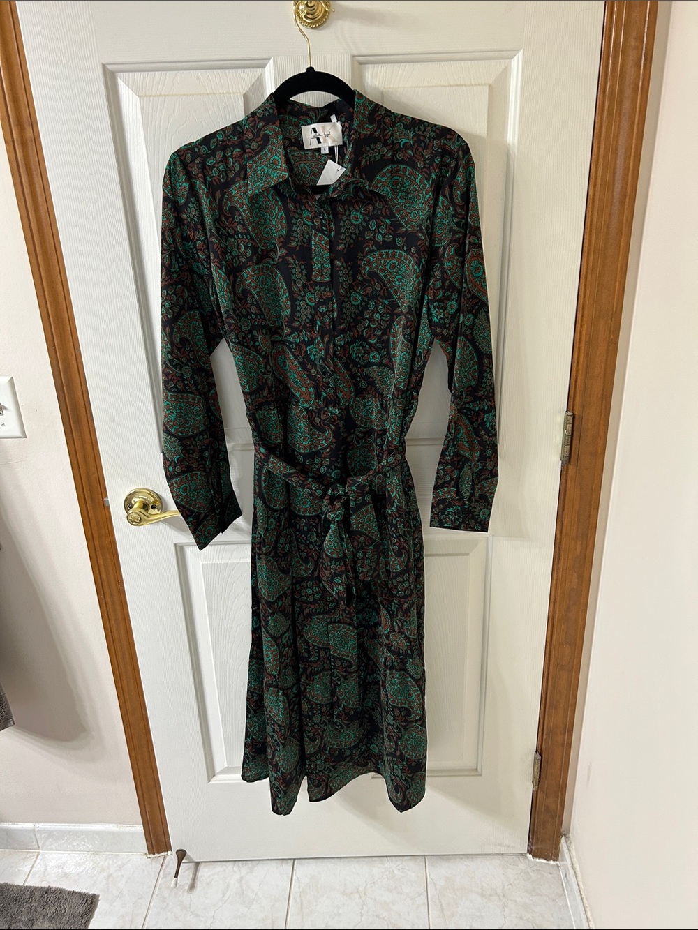 Paisley Tie-Waist Long Sleeve Dress in Green